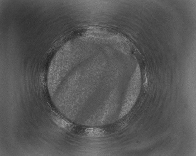 X0000082970714200702230007