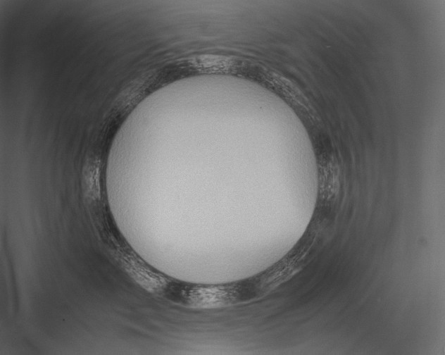 X0000082970717200702230007