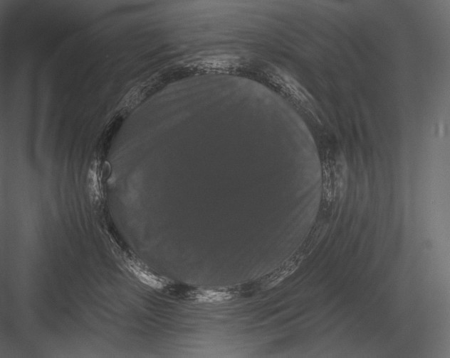 X0000082970718200702230007