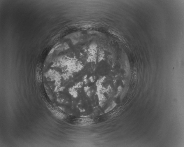 X0000082970719200702230007