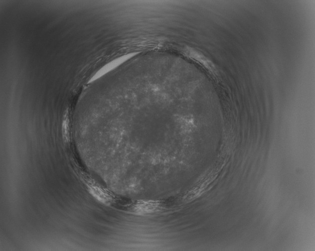 X0000082970720200702230007