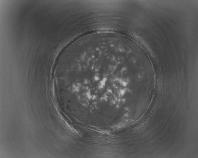 X0000082970721200702230006