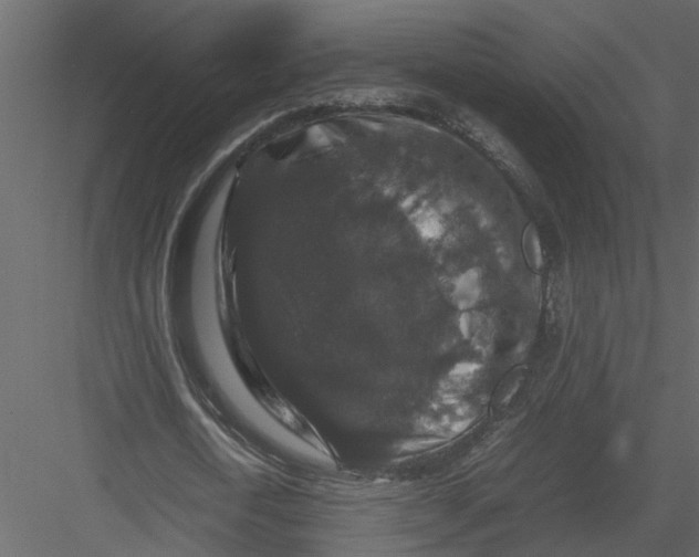 X0000082970722200702230006