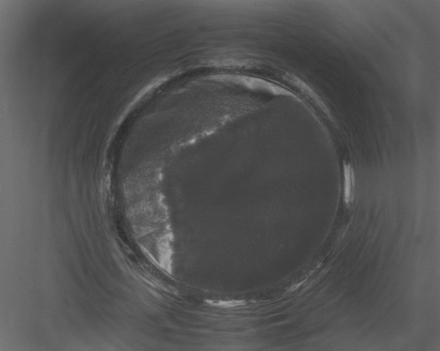 X0000082970723200702230006