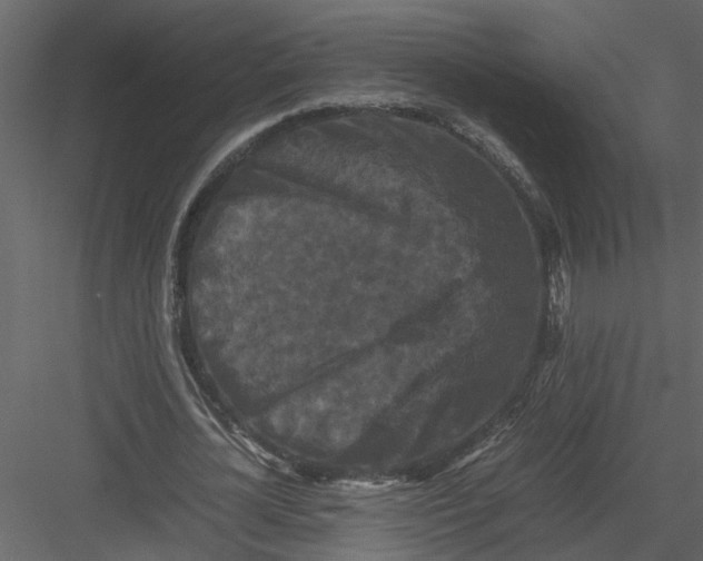 X0000082970724200702230006