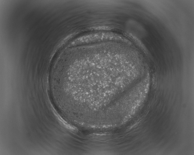 X0000082970725200702230006