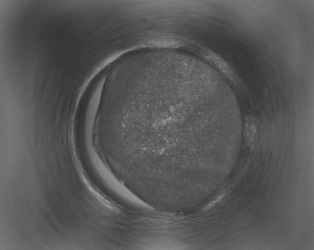 X0000082970726200702230006