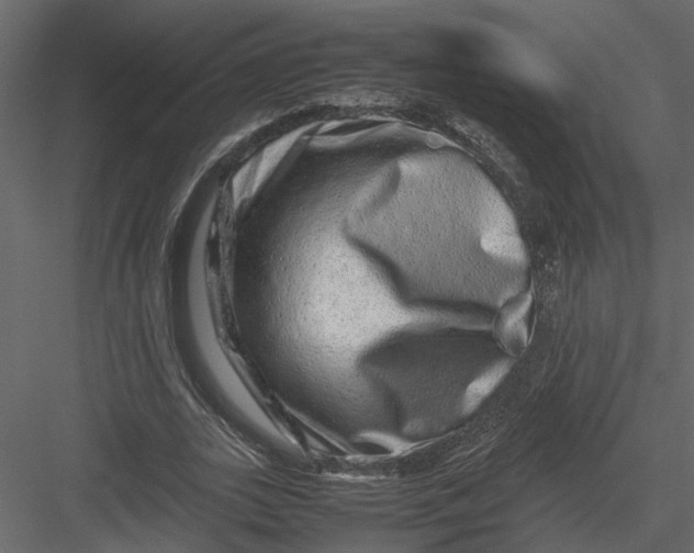 X0000082970727200702230006