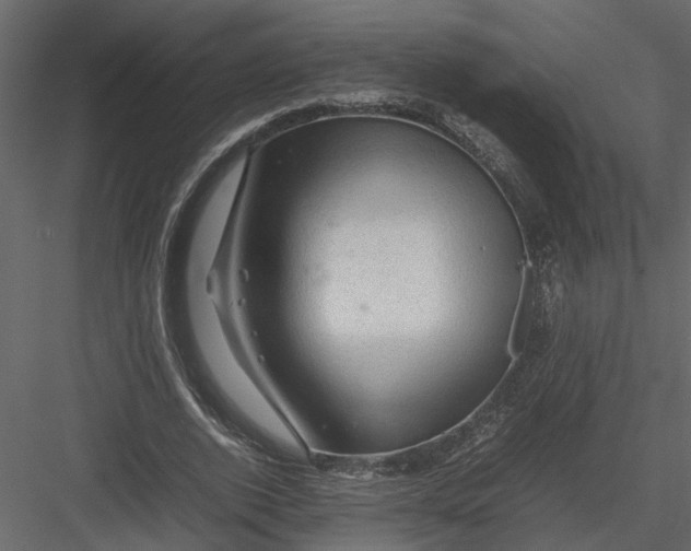 X0000082970728200702230006