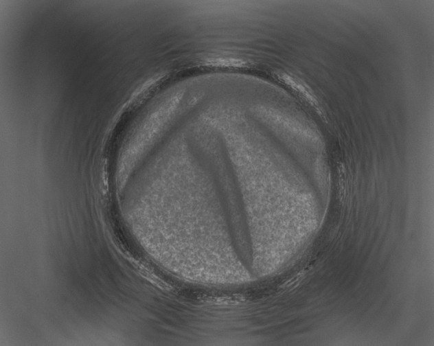 X0000082970731200702230006