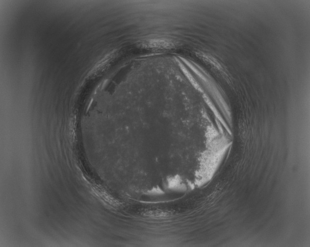 X0000082970735200702230006