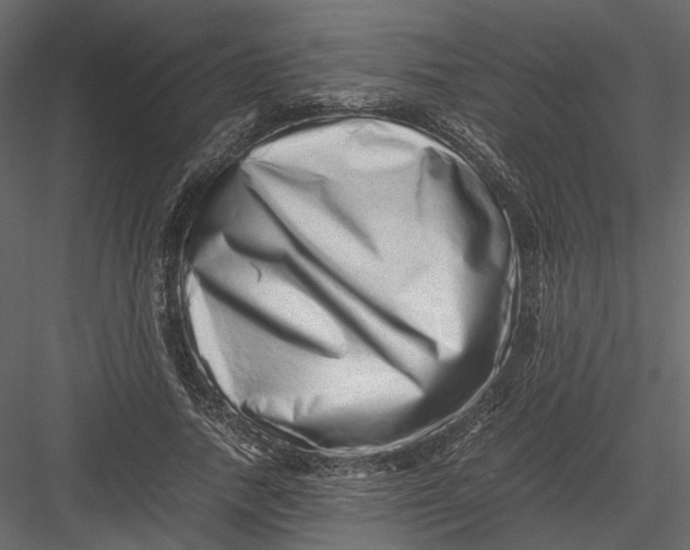 X0000082970738200702230006