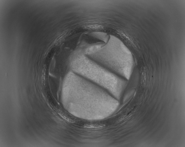 X0000082970739200702230006