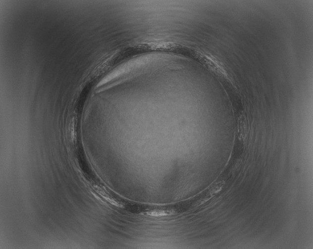 X0000082970740200702230006