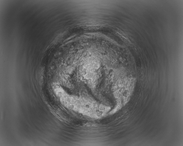 X0000082970742200702230006