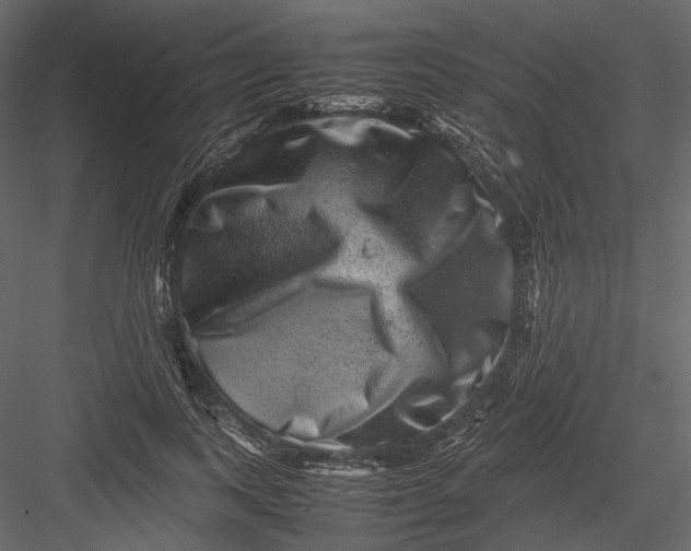 X0000082970743200702230006