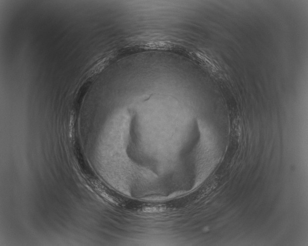 X0000082970744200702230006