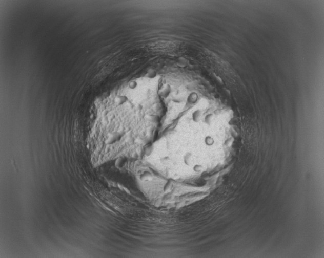 X0000082970745200702230006