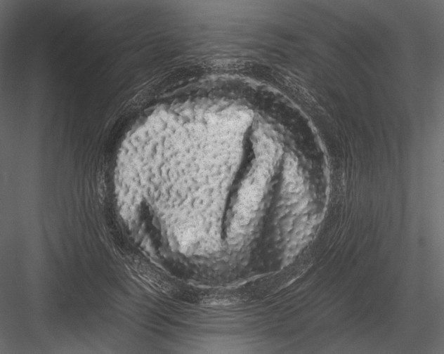 X0000082970746200702230006