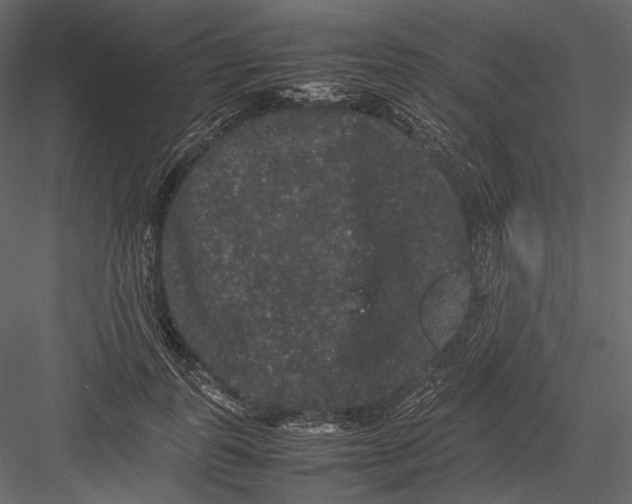 X0000082970747200702230006