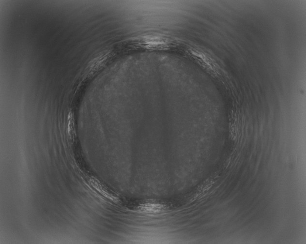 X0000082970748200702230006