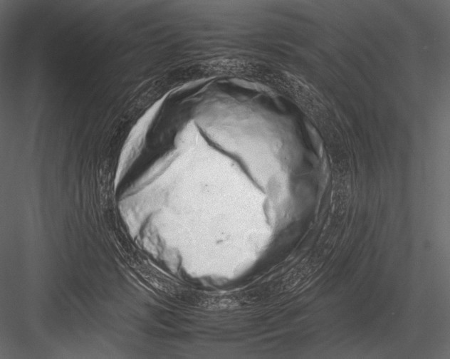 X0000082970749200702230006