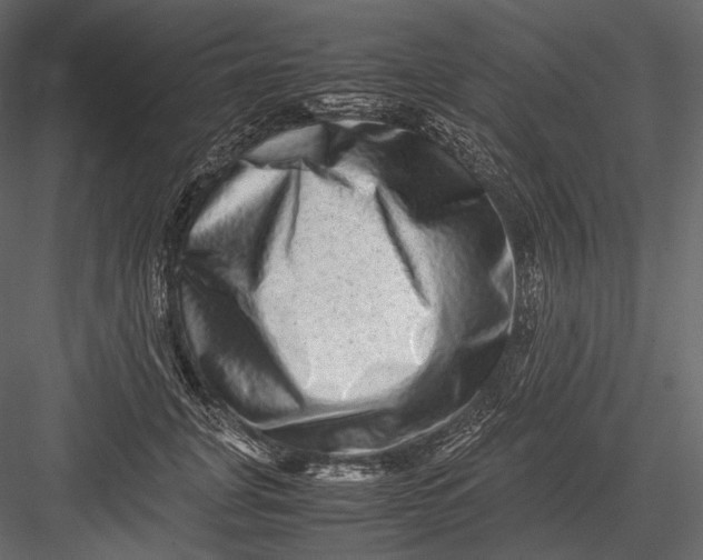 X0000082970751200702230006