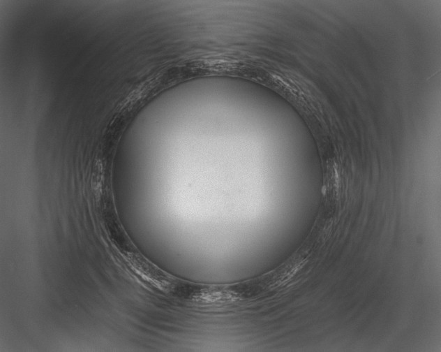 X0000082970752200702230006