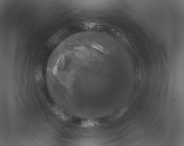 X0000082970754200702230006