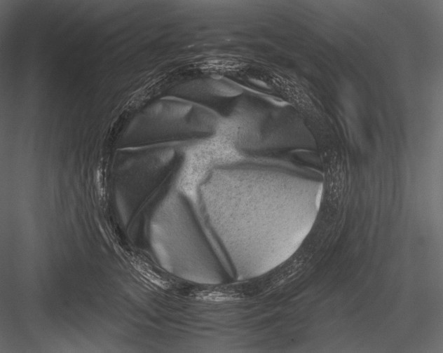 X0000082970755200702230006