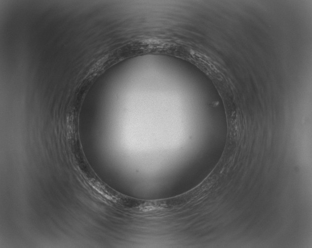 X0000082970756200702230006