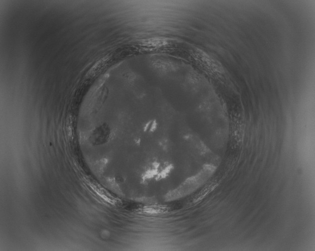 X0000082970758200702230007