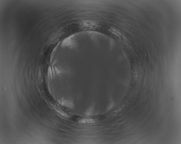 X0000082970759200702230007