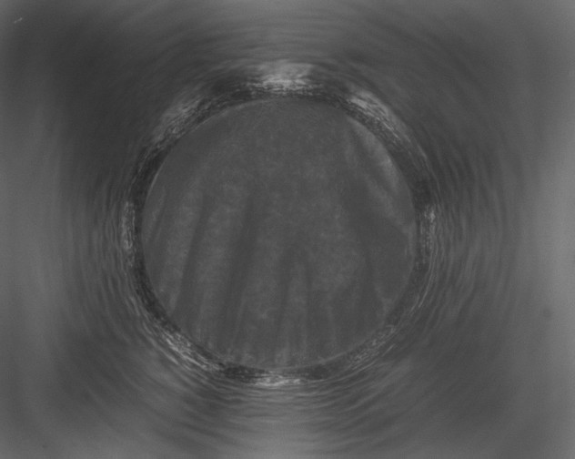 X0000082970760200702230007