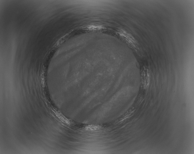 X0000082970762200702230007