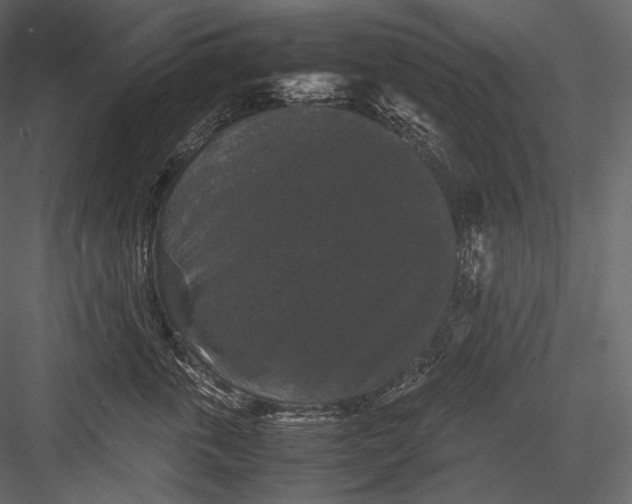 X0000082970763200702230007