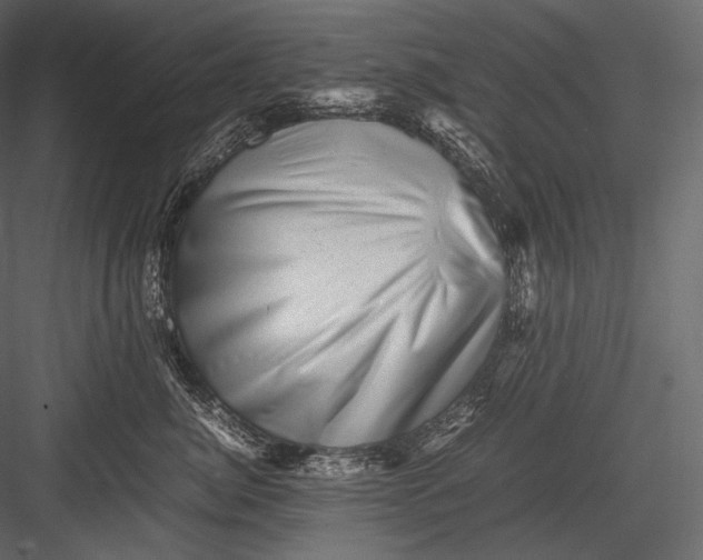 X0000082970764200702230007