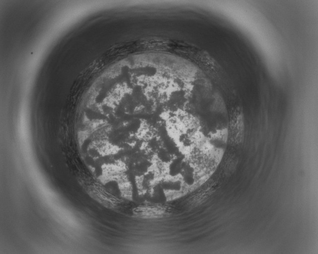 X0000082970765200702230007