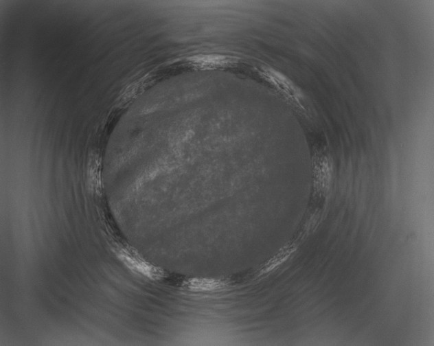 X0000082970766200702230007