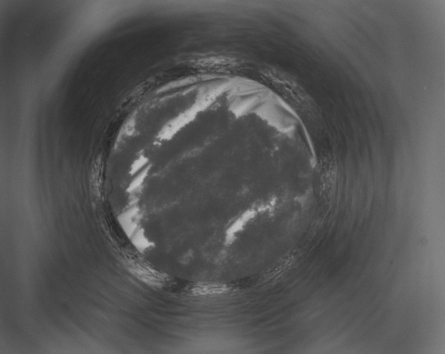 X0000082970767200702230007