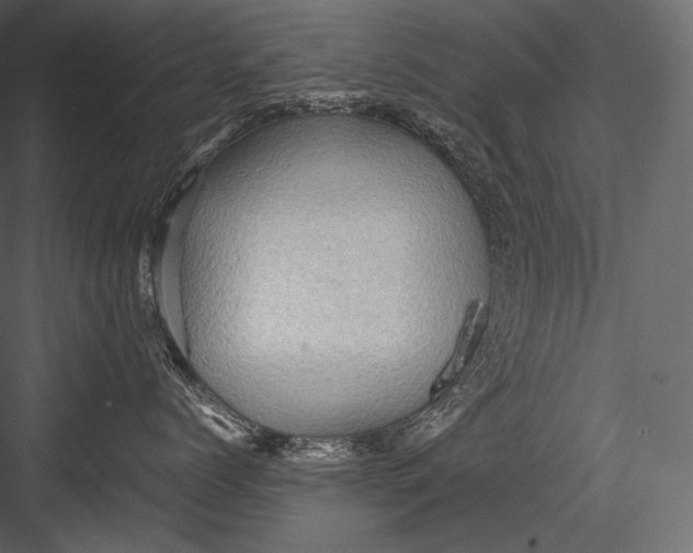 X0000082970768200702230007