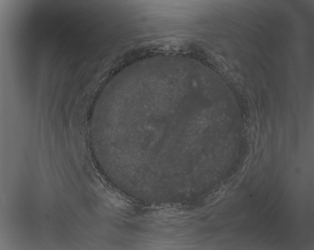 X0000082970769200702230006