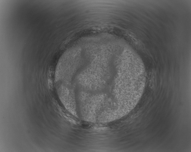 X0000082970770200702230006