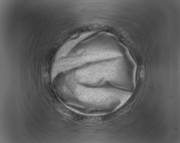 X0000082970771200702230006