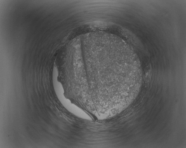 X0000082970772200702230006