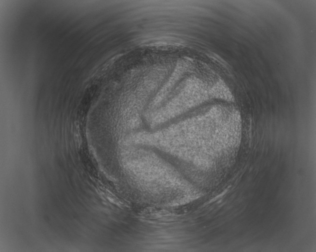 X0000082970774200702230006