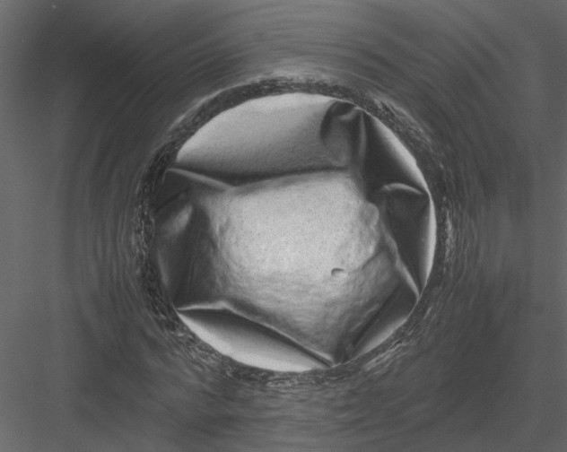 X0000082970776200702230006