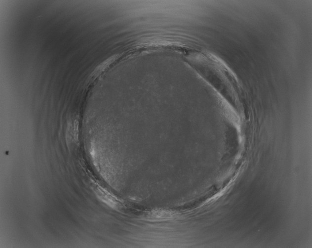 X0000082970777200702230006