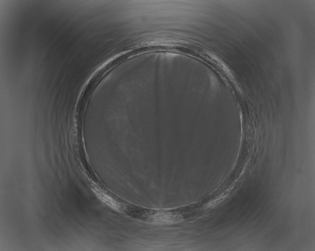 X0000082970779200702230006