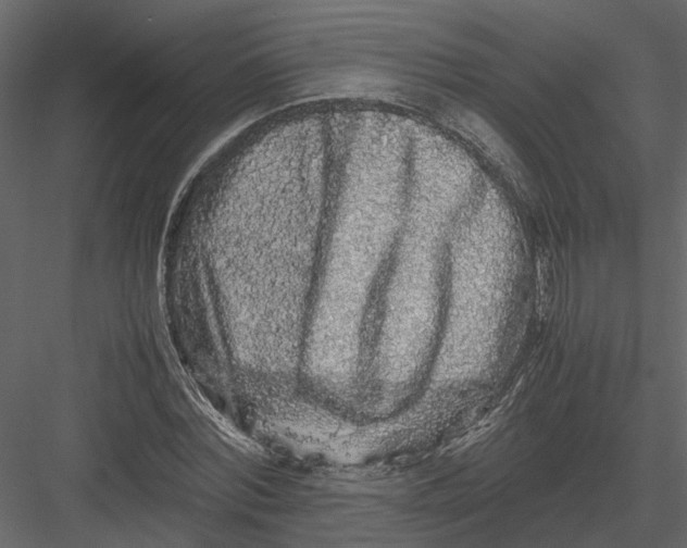 X0000082970780200702230006